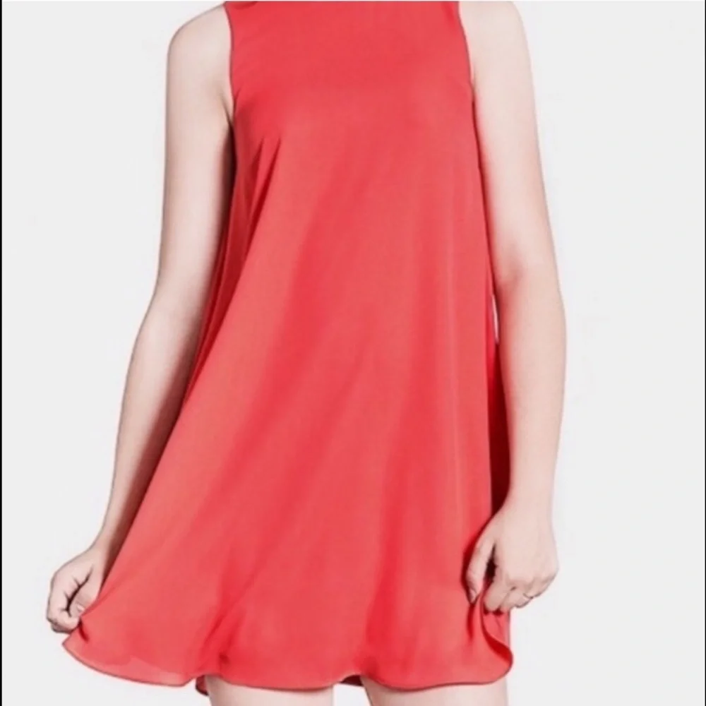 Sans Souci Sleeveless Chiffon Red Shift Dress | S - Picture 1 of 7
